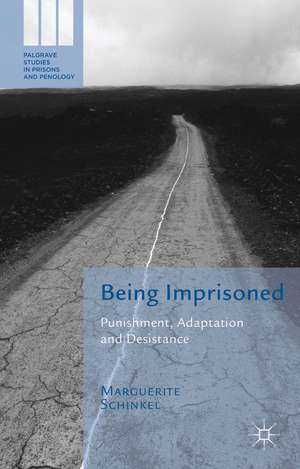 Being Imprisoned: Punishment, Adaptation and Desistance de M. Schinkel