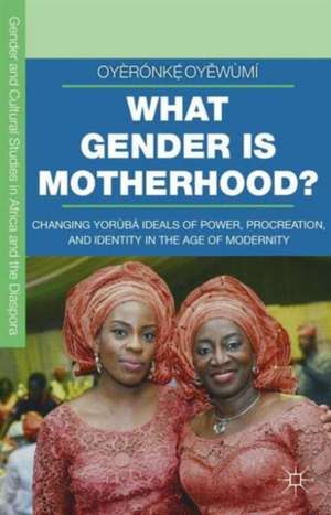 What Gender is Motherhood?: Changing Yorùbá Ideals of Power, Procreation, and Identity in the Age of Modernity de Oyèrónkẹ́ Oyěwùmí