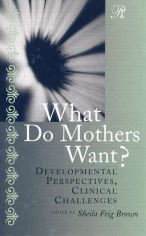 What Do Mothers Want?: Developmental Perspectives, Clinical Challenges de Sheila F. Brown