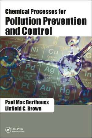 Chemical Processes for Pollution Prevention and Control de Paul Mac Berthouex