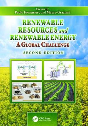 Renewable Resources and Renewable Energy: A Global Challenge, Second Edition de Paolo Fornasiero