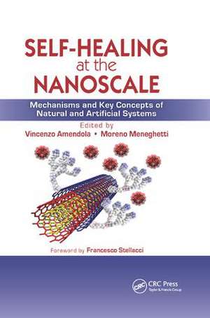 Self-Healing at the Nanoscale: Mechanisms and Key Concepts of Natural and Artificial Systems de Vincenzo Amendola