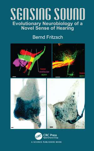 Sensing Sound: Evolutionary Neurobiology of a Novel Sense of Hearing de Bernd Fritzsch