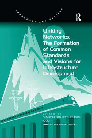 Linking Networks: The Formation of Common Standards and Visions for Infrastructure Development de Hans-Liudger Dienel