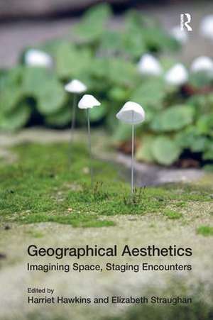 Geographical Aesthetics: Imagining Space, Staging Encounters de Elizabeth Straughan