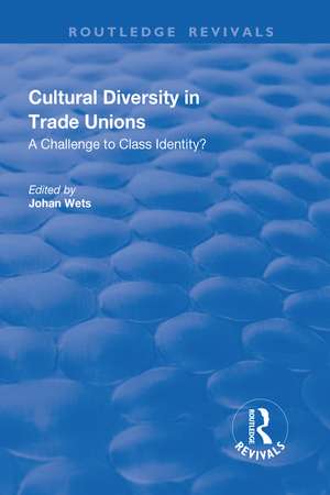 Cultural Diversity in Trade Unions: A Challenge to Class Identity?: A Challenge to Class Identity? de Johan Wets