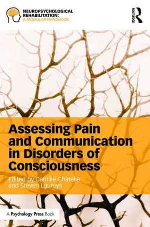 Assessing Pain and Communication in Disorders of Consciousness de Camille Chatelle