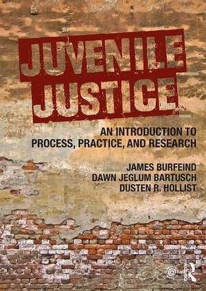 Juvenile Justice: An Introduction to Process, Practice, and Research de James Burfeind