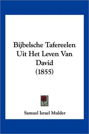 Bijbelsche Tafereelen Uit Het Leven Van David (1855) de Samuel Israel Mulder