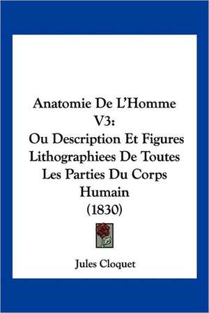 Anatomie De L'Homme V3 de Jules Cloquet