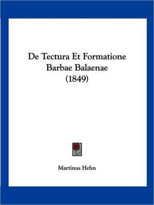 De Tectura Et Formatione Barbae Balaenae (1849) de Martinus Hehn