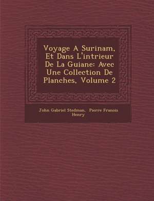 Voyage a Surinam, Et Dans L'Int Rieur de La Guiane de John Gabriel Stedman