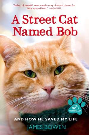 A Street Cat Named Bob and How He Saved My Life de James Bowen