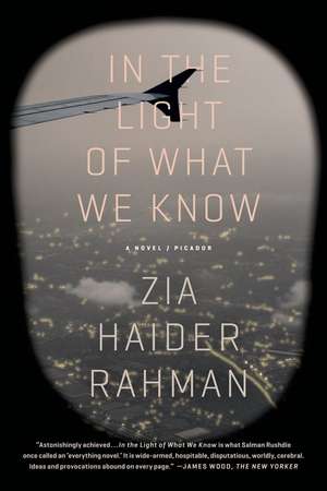 In the Light of What We Know de Zia Haider Rahman