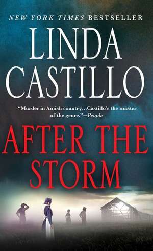 After the Storm de Linda Castillo