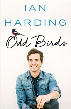 Odd Birds de Ian Harding