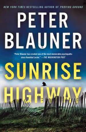 Sunrise Highway de Peter Blauner