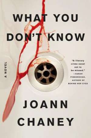 What You Don't Know de Joann Chaney