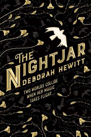 The Nightjar de Deborah Hewitt