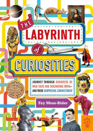 The Labyrinth of Curiosities de Fay Moss-Rider