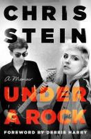 Under a Rock de Chris Stein