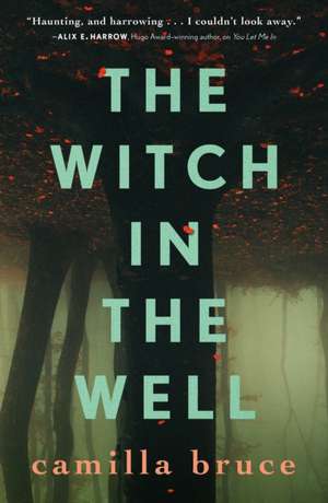 The Witch in the Well de Camilla Bruce