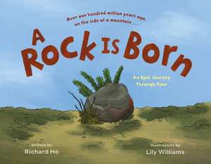 A Rock Is Born de Richard Ho