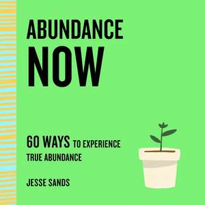 Abundance Now de Jesse Sands