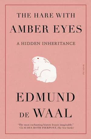 The Hare with Amber Eyes de Edmund de Waal