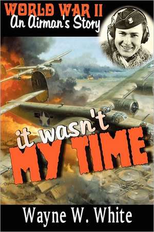 It Wasn't My Time de Wayne White