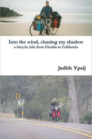 Into the Wind, Chasing My Shadow: The Missing Pieces to the Co-Parenting Puzzle de Judith Ypeij