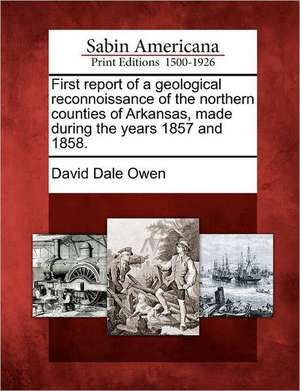 First Report of a Geological Reconnoissance of the Northern Counties of Arkansas, Made During the Years 1857 and 1858. de David Dale Owen