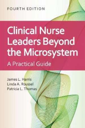 Clinical Nurse Leaders Beyond the Microsystem de Patricia L. Thomas