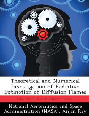 THEORETICAL & NUMERICAL INVEST