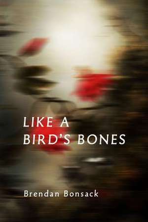 Like a Bird's Bones de Brendan Bonsack