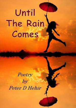 Until the Rain Comes de Peter D. Hehir