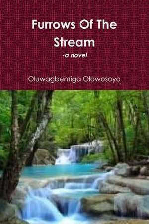 Furrows of the Stream de Oluwagbemiga Olowosoyo