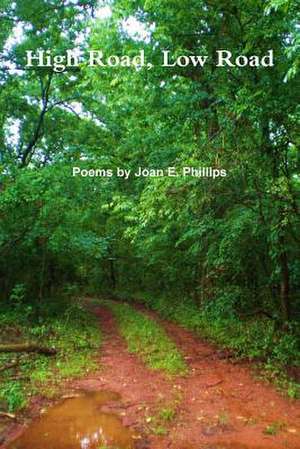 High Road, Low Road de Joan Phillips