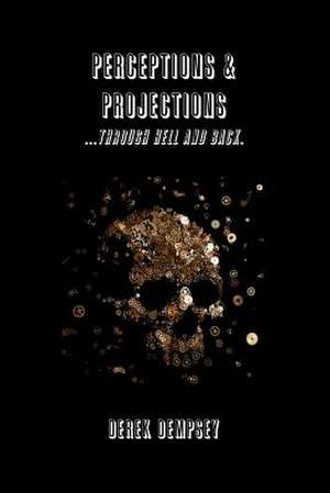Perceptions and Projections de Derek Dempsey