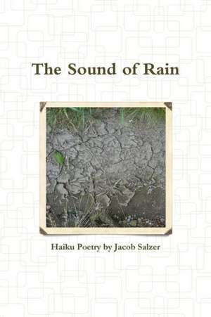 The Sound of Rain de Jacob Salzer