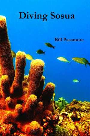 Diving Sosua de William Passmore