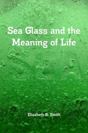 Sea Glass and the Meaning of Life de Elizabeth S. Smith