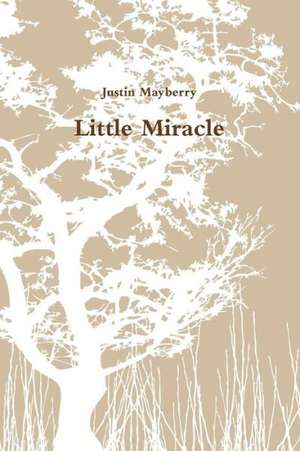 Little Miracle de Justin Mayberry