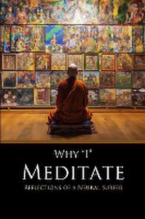 Why I Meditate de David Lane