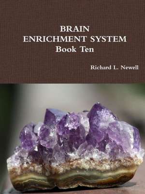 Brain Enrichment System Book Ten de Richard L. Newell