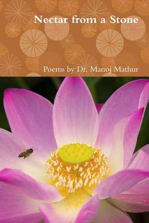 Nectar from a Stone de Manoj Mathur