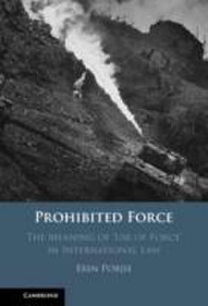 Prohibited Force: The Meaning of ‘Use of Force' in International Law de Erin Pobjie