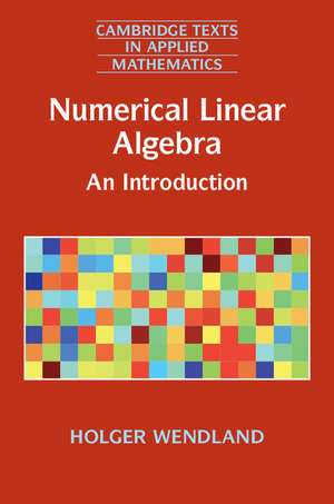 Numerical Linear Algebra: An Introduction de Holger Wendland