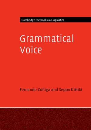 Grammatical Voice de Fernando Zúñiga