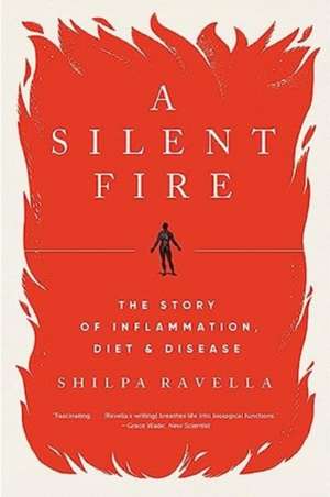 A Silent Fire de Shilpa Ravella